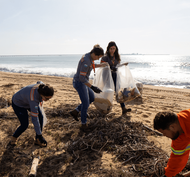 Junho Verde: ação educativa mobiliza colaboradores em limpeza da praia<br>